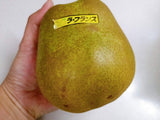 洋梨 【スミヤ果樹園】 洋なし ラ・フランス 約1.8kg ジャンボサイズ6L～８L 特秀 3玉 大玉 贈答用 山形県上山市 ラフランス 《11/上旬～11/中旬より出荷》