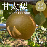 梨 【 フルーツランド外塚農園 】 甘太 5kg  5L 10個 贈答用 茨城県かすみがうら市《9/下旬～10/上旬の出荷》