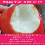 りんご 【志藤農園】 小玉りんご ピンクレディ 特秀 2kg 8～11玉 山形県 母の日 リンゴ 林檎 《2/上旬～2/中旬より出荷》