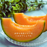メロン 【OTM出荷組合】 レノン 2L 5玉 糖度15度以上 贈答用 茨城県鉾田市 《5/中旬～5/下旬より出荷》