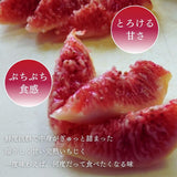 いちじく 【ファームさとう】 贈答用 品種おまかせ 12～13個 1㎏ 千葉県香取市 《8/上旬～8/下旬より出荷》