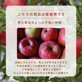 りんご 【箭内厳雄果樹園】 リンゴ 家庭用 10kg 福島県須賀川市《11/下旬～12/上旬より出荷》