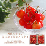 さくらんぼ 【フルーツ彩】 佐藤錦 500g×2P 1kg ML 山形県上山市  《6/中旬～6/下旬の出荷》