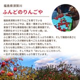 りんご 【ふんどのりんごや】 オリジナル品種 いわせっ娘 蜜無し 長期保存用 5kg 16～18個 福島県須賀川 《1/上旬～1/中旬より出荷》