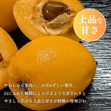 びわ 【生稲農園】 房州びわ 1kg 12～15個 サイズ色々 枇杷 皇室献上の実績 父の日 千葉県南房総市《5/中旬～5/下旬より出荷》