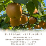 梨 【 フルーツランド外塚農園 】 甘太 3kg  5～6個 贈答用 茨城県かすみがうら市《9/下旬～10/上旬の出荷》