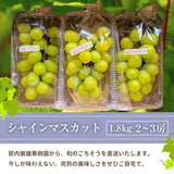 ぶどう 【箭内厳雄果樹園】 シャインマスカット 約1.8kg 2～３房 福島県 《10/上旬～10/中旬の出荷》