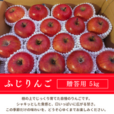 りんご 【箭内厳雄果樹園】 リンゴ 贈答用 5kg 15～16個 福島県須賀川市《11/下旬～12/上旬より出荷》