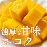 マンゴー 【緒方果樹園】 完熟マンゴー L 2個 620g 贈答用 宮崎県宮崎市 《5/上～5/中より出荷》