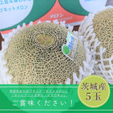 メロン 【OTM出荷組合】 メロン オトメメロン 5玉 2L 糖度15度以上 贈答用 母の日 茨城県鉾田市 茨城町 《4/下旬～5/上旬より出荷》