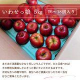 りんご 【ふんどのりんごや】 オリジナル品種 いわせっ娘 蜜無し 長期保存用 5kg 16～18個 福島県須賀川 《1/上旬～1/中旬より出荷》