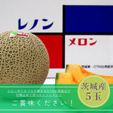 メロン 【OTM出荷組合】 レノン 2L 5玉 糖度15度以上 贈答用 茨城県鉾田市 《5/中旬～5/下旬より出荷》