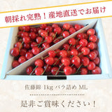 さくらんぼ 【フルーツ彩】 佐藤錦 1kg バラ ML 山形県上山市  《6/中旬～6/下旬の出荷》