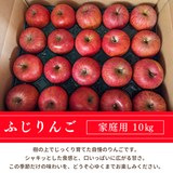 りんご 【箭内厳雄果樹園】 リンゴ 家庭用 10kg 福島県須賀川市《11/下旬～12/上旬より出荷》