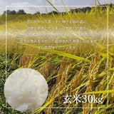 米 【おおひがし稲作研究会】 天のつぶ 玄米 30kg 白米精米可能 福島県須賀川市 令和7年産