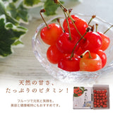 さくらんぼ 【フルーツ彩】 品種おまかせ 500g ML 山形県上山市  《6/上旬～6/中旬の出荷》