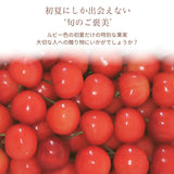 さくらんぼ 【フルーツ彩】 佐藤錦 500g×2P 1kg ML 山形県上山市  《6/中旬～6/下旬の出荷》