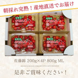 さくらんぼ 【フルーツ彩】 佐藤錦 200g×4P 800g ML 山形県上山市  《6/中旬～6/下旬の出荷》