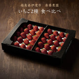 いちご 【斎藤農園】2種類 食べ比べ (15～20粒 300g)×2P 福島県伊達市 《2/上旬～2/中旬より出荷》