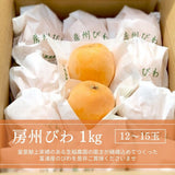 びわ 【生稲農園】 房州びわ 1kg 12～15個 サイズ色々 枇杷 皇室献上の実績 父の日 千葉県南房総市《5/中旬～5/下旬より出荷》