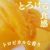 マンゴー 【緒方果樹園】 完熟マンゴー 4L 2個 1㎏ 贈答用 宮崎県宮崎市 《5/上～5/中より出荷》
