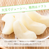 梨 【 フルーツランド外塚農園 】 甘太 3kg  5～6個 贈答用 茨城県かすみがうら市《9/下旬～10/上旬の出荷》