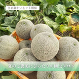 メロン 【メロン農家の根崎】 イバラキング 2玉 3kg 家庭用 2024年 イバラキング品評会1位 茨城県鉾田市 《6/上旬～6/中旬より出荷》