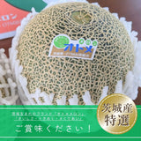 メロン 【OTM出荷組合】 メロン オトメメロン 特選 1玉 3L 糖度センサー 16度以上 贈答用 母の日 茨城県鉾田市 茨城町 《4/下旬～5/上旬より出荷》