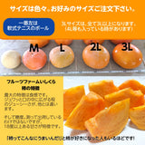 柿 甘柿 【フルーツファームいしくら】 富有柿等 皇室献上の味 広瀬の柿 4kg 2L 15個 山梨県笛吹市 種なし かき《10/下旬～11/上旬の出荷》