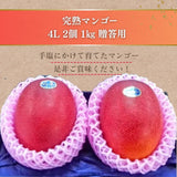 マンゴー 【緒方果樹園】 完熟マンゴー 4L 2個 1㎏ 贈答用 宮崎県宮崎市 《5/上～5/中より出荷》