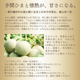 メロン 【メロン農家の根崎】 イバラキング 2玉 3kg 家庭用 2024年 イバラキング品評会1位 茨城県鉾田市 《6/上旬～6/中旬より出荷》