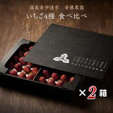 いちご 【斎藤農園】4種 食べ比べ  (15～20粒 300g)×4P 母の日 福島県伊達市《2/上旬～2/中旬より出荷》