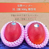 マンゴー 【緒方果樹園】 完熟マンゴー 3L 2個 900g 贈答用 宮崎県宮崎市 《5/上～5/中より出荷》