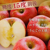 りんご 【ふんどのりんごや】 ふじ 5kg  16～18個 福島県須賀川 《1/上旬～1/下旬の出荷》