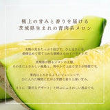メロン 【メロン農家の根崎】 イバラキング 1玉 1.6kg 贈答用  2024年 イバラキング品評会1位 茨城県鉾田市 《6/上旬～6/中旬より出荷》