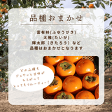柿 甘柿 【フルーツファームいしくら】 富有柿等 皇室献上の味 広瀬の柿 1.5kg M 8個 山梨県笛吹市 種なし かき《10/下旬～11/上旬の出荷》