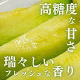 メロン 【メロン農家の根崎】 イバラキング 2玉 3kg 家庭用 2024年 イバラキング品評会1位 茨城県鉾田市 《6/上旬～6/中旬より出荷》