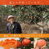 柿 甘柿 【フルーツファームいしくら】 富有柿等 皇室献上の味 広瀬の柿 1.5kg  L 7個 山梨県笛吹市 種なし かき《10/下旬～11/上旬の出荷》
