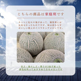 メロン 【メロン農家の根崎】 イバラキング 2玉 3kg 家庭用 2024年 イバラキング品評会1位 茨城県鉾田市 《6/上旬～6/中旬より出荷》