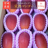 マンゴー 【まるのわマンゴー】 完熟マンゴー M 2.5kg 9個 宮崎県宮崎市 《5/上～5/中より出荷》