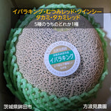 メロン 【方波見農園】 むつみレッド イバラキング クインシー  タカミ タカミレッド どれか1種 3L以上 1玉 1.2~1.4kg 糖度16度以上 贈答用 茨城県鉾田市 母の日 父の日 《5/上旬～5/中旬より出荷》