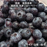 国産 冷凍ブルーベリー 加工用 業務用 農薬不使用 700g 福島県 冷凍 フルーツ 果物 ブルーベリー