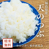 米 【おおひがし稲作研究会】 天のつぶ 玄米 30kg 白米精米可能 福島県須賀川市 令和7年産