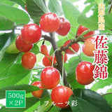 さくらんぼ 【フルーツ彩】 佐藤錦 500g×2P 1kg ML 山形県上山市  《6/中旬～6/下旬の出荷》