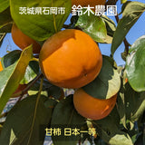 柿 甘柿 【石岡 鈴木農園】 八郷の柿 富有柿等 品種お任せ 3.5kg L 16個 茨城県石岡市《10/下旬～11/上旬より出荷》