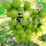 ぶどう 【箭内厳雄果樹園】 シャインマスカット 約1.8kg 2～３房 福島県 《10/上旬～10/中旬の出荷》
