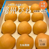 びわ 【生稲農園】 房州びわ 約1kg 12個 3L 化粧箱 枇杷 皇室献上の実績 父の日 千葉県南房総市《5/下旬～6/上旬より出荷》