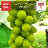 ぶどう 【カンジュクファーム】 葡萄 シャインマスカット 2房 1kg 贈答用 山梨県 《8/下旬～9/上旬より出荷》