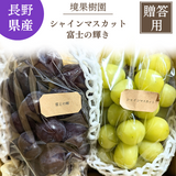 ぶどう 【境果樹園】 富士の輝き シャインマスカット 1~2房ずつ 約1kg 長野県須坂市 《10/上旬～10/中旬より出荷》