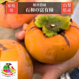 柿 甘柿 【根津農園】 富有柿 石和の柿 3.5kg 13～15個 家庭用 山梨県笛吹市 種なし かき《10/下旬～11/上旬の出荷》
